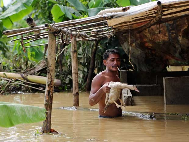 Homem apanha um pato perdido nas águas que inundaram a cidade de Quezon. (Foto: Aaron Favila / AP Photo)