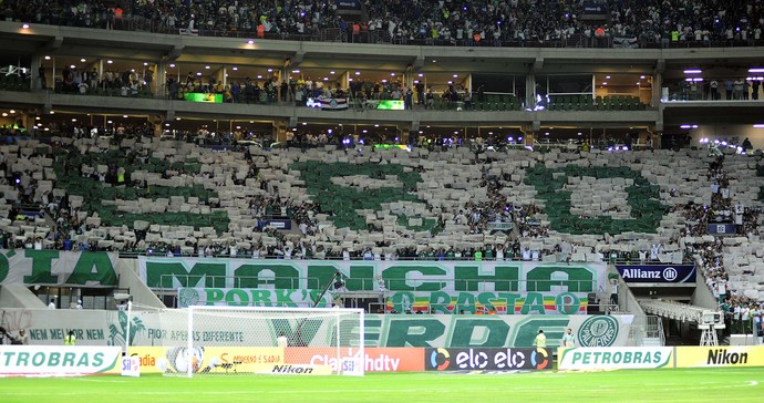 Palmeiras x Fluminense mosaico torcida (Foto: Marcos Ribolli)