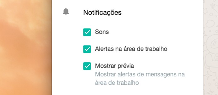 Opções de alerta (Foto: Reprodução/André Sugai)