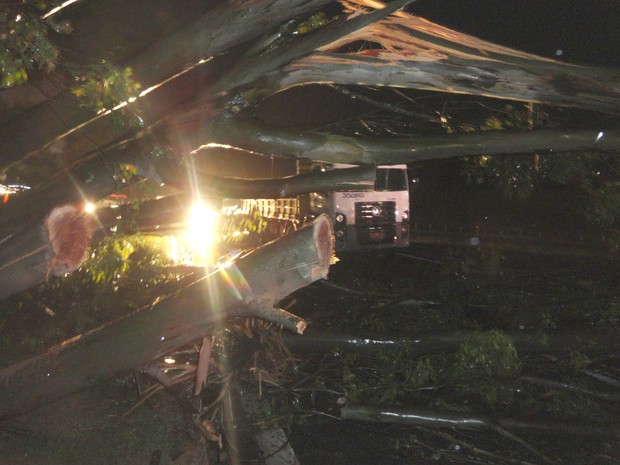 Árvores caíram na entrada de Resende, RJ, após chuva forte (Foto: Felipe Silva/TV Rio Sul)