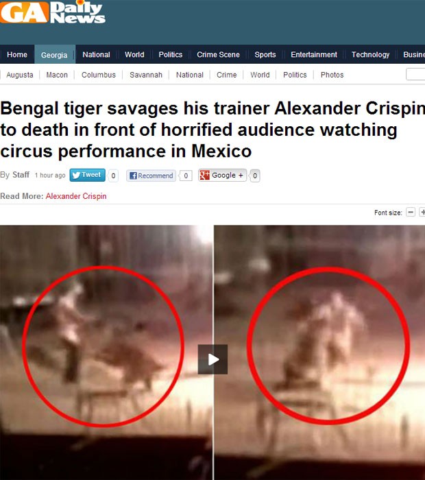 Gravação mostra treinador sendo atacado por tigre em apresentação de circo no México (Foto: Reprodução)