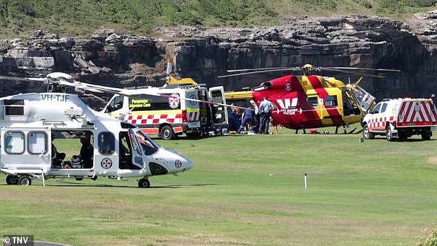 Pai e menino foram resgatados, mas paramédicos não conseguiram salvá-los (Foto: Reprodução/ Daily Mail)