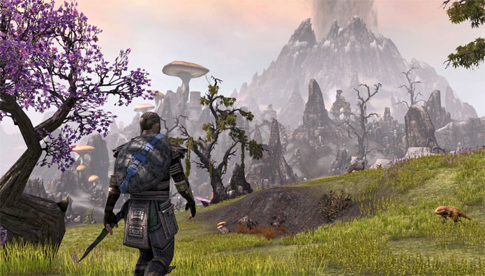 The Elder Scrolls Online (Foto: Divulgação)