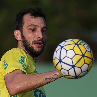 Edu Dracena Palmeiras (Foto: César Greco / Ag. Palmeiras / Divulgação) Edu Dracena Palmeiras (Foto: César Greco / Ag. Palmeiras / Divulgação)