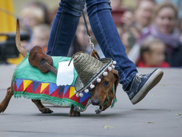 Cão fantasiado participa de festival em São Petersburgo, na Rússia, neste sábado (28) (Foto: AP Photo/Dmitri Lovetsky)