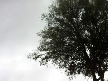 Sábado amanheceu com céu nublado em Porto Alegre (Foto: Tatiana Lopes/G1)