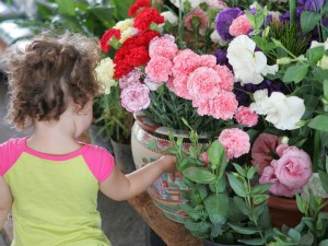 Feira Flor traz flores a preços baixos para presentear mães no Ceará. (Foto: Fábio Lima/Agência Diário)