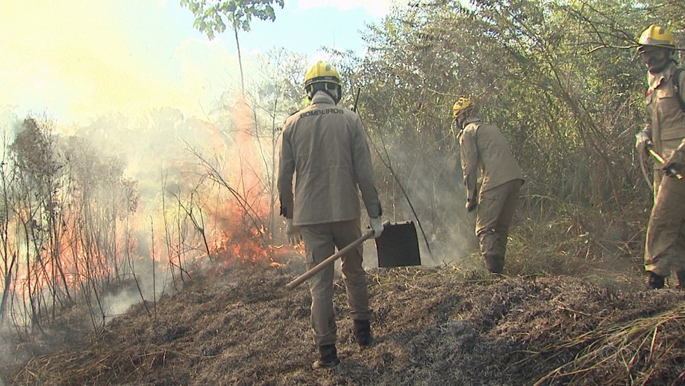 Responsáveis por queimadas vão ser multados, alerta Semeia  (Foto: Reprodução/Rede Amazônica Acre )