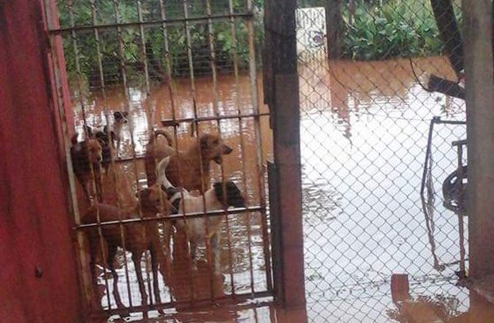 Recinto teve que passar por limpeza na segunda-feira. Animais já retornaram ao local (Foto: Arquivo Pessoal)
