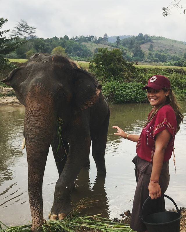 Giulia Costa se diverte dando banho em elefantes (Foto: Reprodução/Instagram)