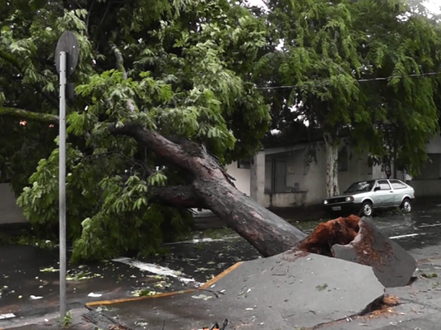 Chuva causou estragos em São João da Boa Vista (Foto: Arthur Santos/Arquivo Pessoal)