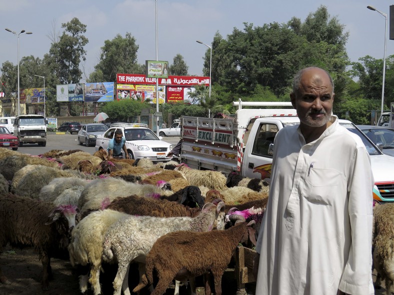 GRA386. EL CAIRO, 02/10/2014.- Los vendedores de corderos de El Cairo apuran las 