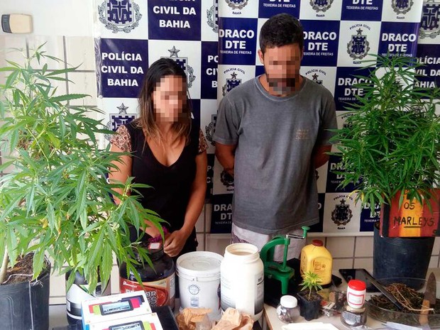 Polícia de Teixeira de Freitas acha pés de maconha em restaurante japonês e casal é preso na Bahia (Foto: Divulgação/Polícia Civil)