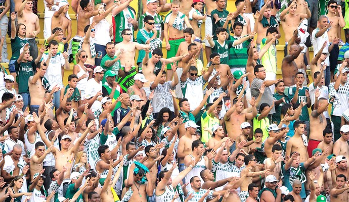 torcida-palmeiras-rib.jpg