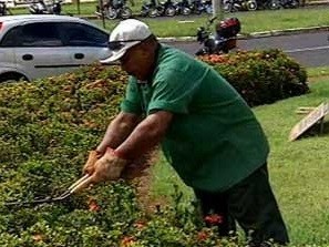 Jardineiro está com vaga em aberto no PPT em Paulínia (SP) (Foto: Reprodução/TV Integração)