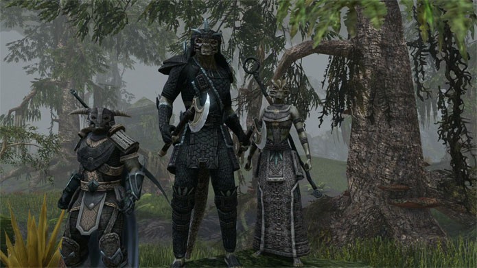 The Elder Scrolls Online (Foto: Divulgação)