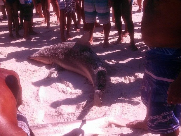 Turistas e moradores registraram momento da pesca  (Foto: Rafael Pádua/Arquivo pessoal)