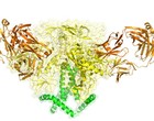 Decifrada estrutura de proteína que envolve o HIV (Cortesia do Wilson lab/The Scripps Research Institute.)