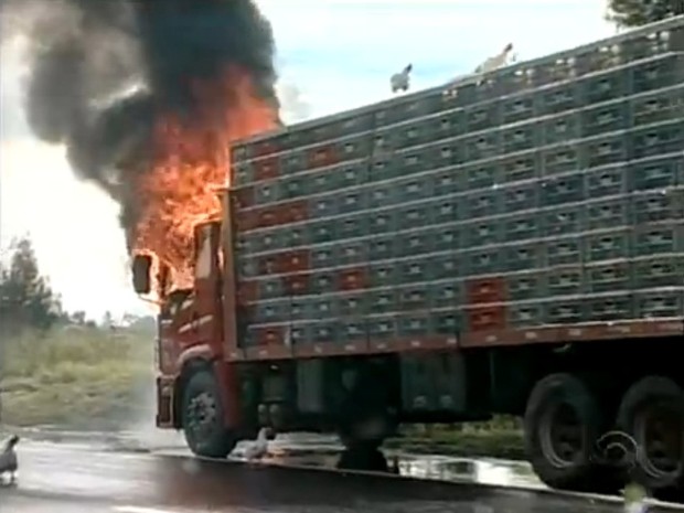 Caminhão começou a pegar fogo em pleno trecho Sul da BR-101. (Foto: Reprodução RBS TV)