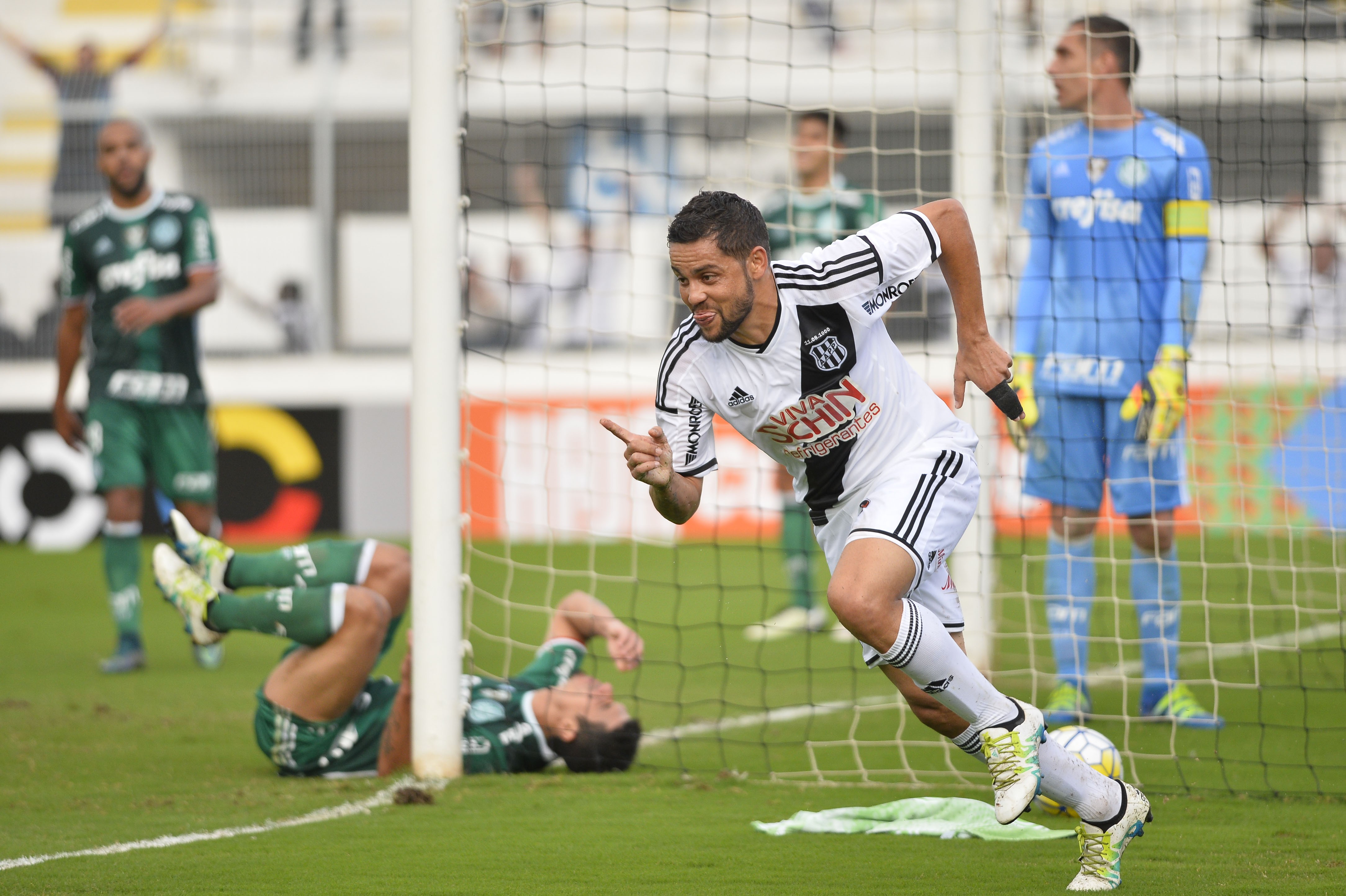 Ponte Preta X Palmeiras Campeonato Brasileiro Sportv