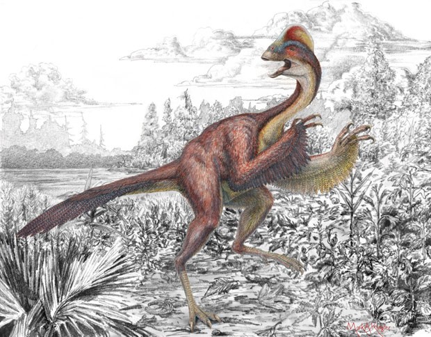  Concepção artística mostra dinossauro da espécie Anzu wyliei (Foto: Reuters/Bob Walters/Handout via Reuters)