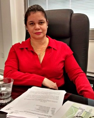 A procuradora de Justiça Patrícia Amorim Rêgo fala sobre plano  (Foto: Denis Henrique/G1)