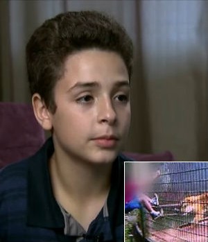 'Meu pai não teve culpa', diz menino atacado por tigre em zoo no Paraná (Reprodução/Fantástico)