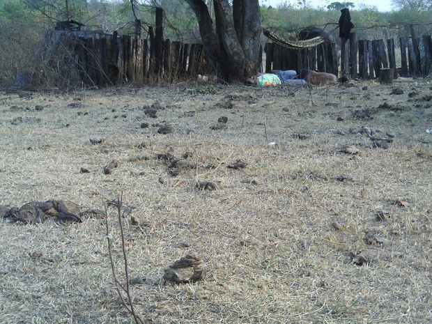 Os corpos dos trabalhadores assassinados foram encontrados espalhados em fazenda  (Foto: Arquivo Pessoal)