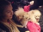 Paris Hilton viaja de carro com seus cachorros: 'Meus bebês'