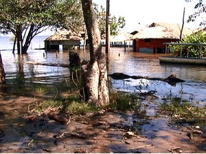 Moradores temem cheia de 2009, maior registrada na região (Foto: Reprodução/TV Tapajós)