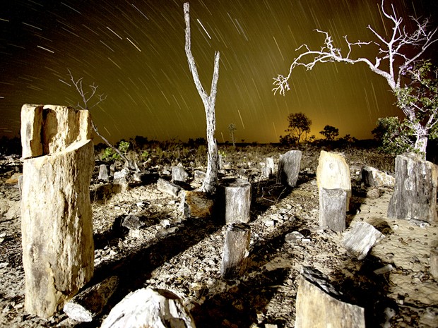 Monumento Natural das Árvores Fossilizadas no Tocantins (Foto: Ricardo Martins)