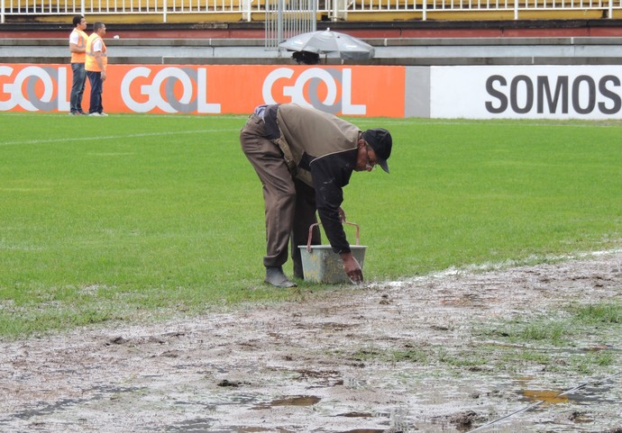 gramado Arena Joinville (Foto: João Lucas Cardoso)
