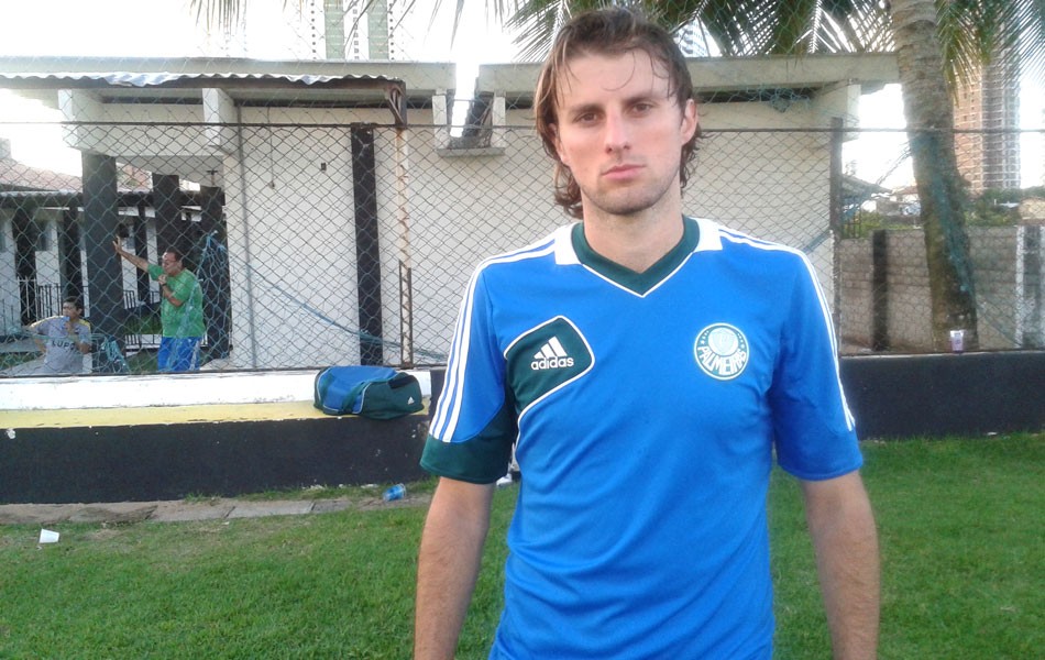 Palmeiras equipo 2014 fotos