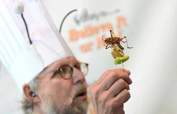 Conhecido como 'chefe dos insetos', David G. Gordon apresenta seu 'kebab de grilo' durante a 'Bugfest' (Festa do Inseto), em Hollywood, California (Foto: Federic J. Brown/AFP)