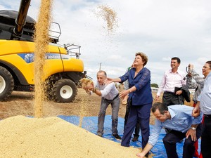 Presidente Dilma Rousseff joga para cima grãos de soja colhidos em Lucas do Rio Verde (MT) (Foto: Roberto Stuckert Filho/PR)