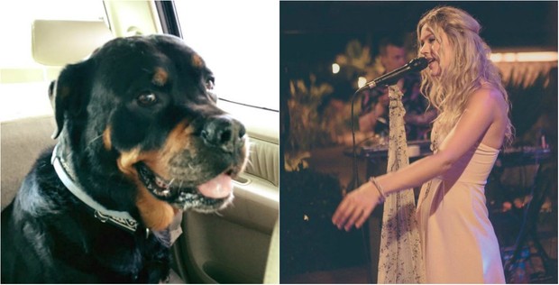 Joss Stone cancela turnê para ficar cuidar de seu cachorro Missy, que está doente (Foto: Reprodução  )