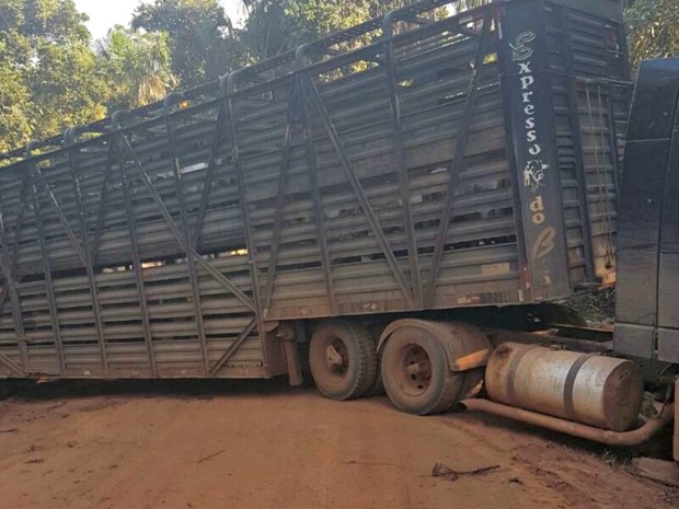 Carretas usadas para transportar gado roubado foram apreendidas (Foto: Divulgação/Polícia Civil de MT) Carretas usadas para transportar gado roubado foram apreendidas (Foto: Divulgação/Polícia Civil de MT)