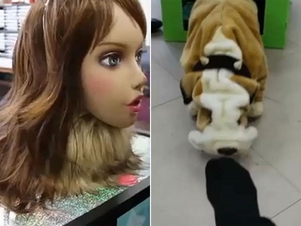 Robôs que sentem cheiro têm forma de mulher, para o hálito, e cão, para o chulé (Foto: Divulgação/via BBC) Robôs que sentem cheiro têm forma de mulher, para o hálito, e cão, para o chulé (Foto: Divulgação/via BBC)