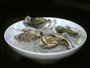 Aprenda a fazer três receitas práticas de ostras com ingredientes simples 