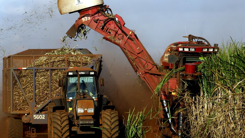 Colheita em lavoura de cana-de-açúcar  (Foto: REUTERS/Paulo Whitaker)