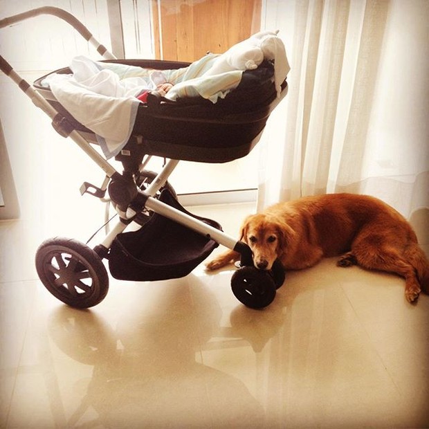 Fernanda Gentil mostra cadelinha cuidando do filho (Foto: Instagram/Reprodução)