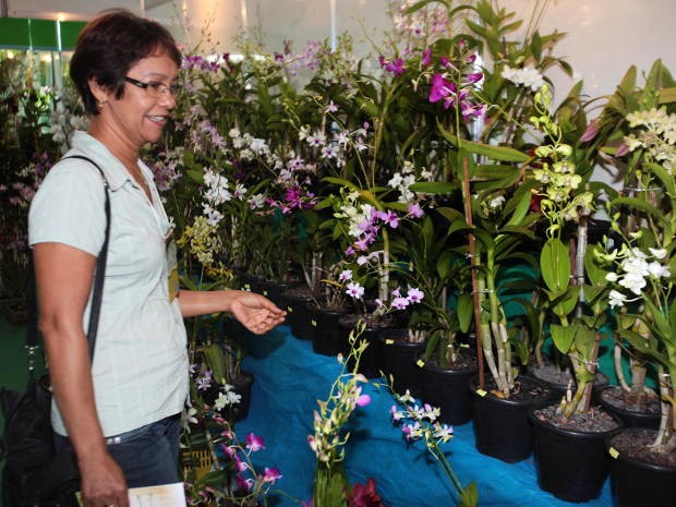 Flor Pará ajuda a divulgar os produtos do estado como cestas e ornamentos. (Foto: Eunice Pinto / Agência Pará)