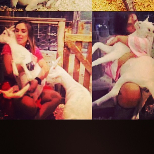 Nicole Bahls posta fotos ao lado de cabras (Foto: Reprodução_Instagram)