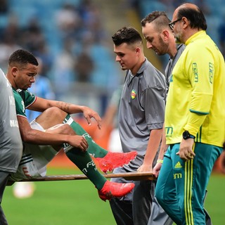 Gabriel Jesus sai de maca; Grêmio x Palmeiras (Foto: Futura Press)