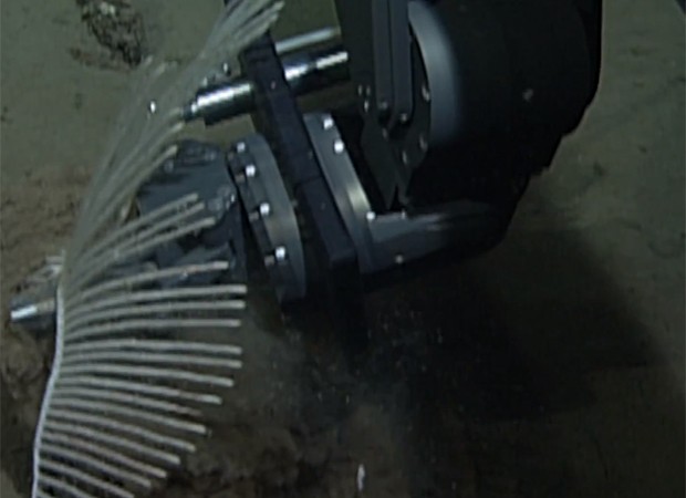 Robô operado por cientistas utiliza braço mecânico para retirar 'esponja-harpa' do solo oceânico, no litoral dos Estados Unidos (Foto: Reprodução/Instituto de Pesquisa do Aquário da Baía de Monterey)