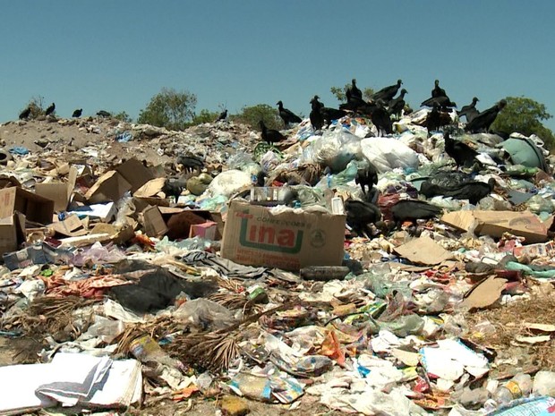 Moradores convivem com lixão a céu aberto em Barras (Foto: Reprodução/TV Clube)