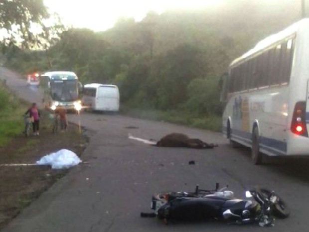 Motociclista e cavalo morreram depois de atropelamento na BR-110 (Foto: Bahia10 )