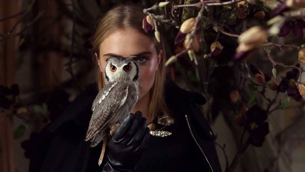 Cara Delevingne em campanha da Mulberry (Foto: Divulgação)
