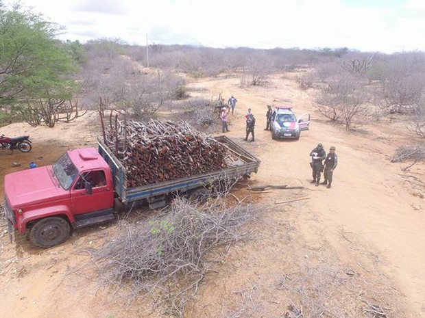 Caminhão carregado de madeira foi encontrado com auxílio de drone (Foto: Polícia Militar / Divulgação)
