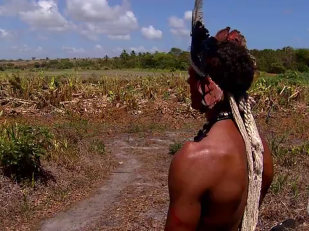 Empresa invade terras onde índios potiguara plantam para comer (Foto: Clayton Carvalho/Inter TV Cabugi)